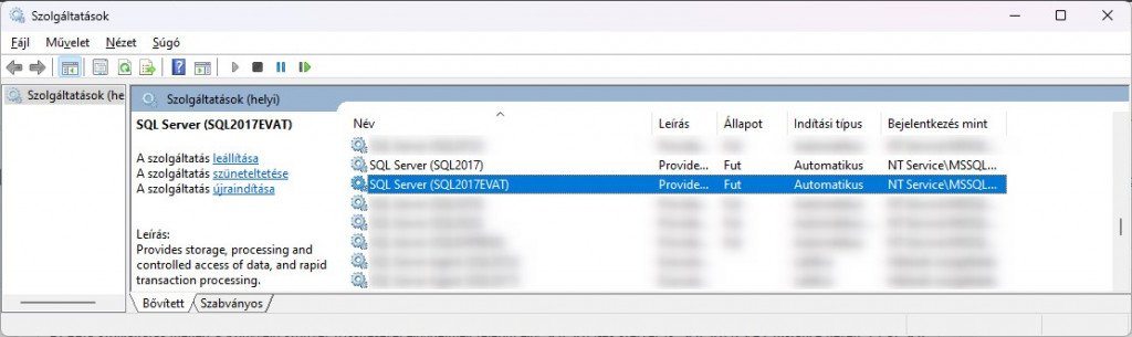 eÁfa - Szolgáltatások - SQL2017EVAT